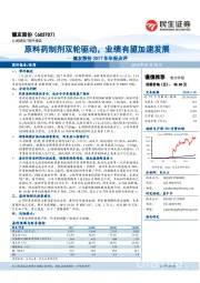 健友股份2017年年报点评:原料药制剂双轮驱动,业绩有望加速发展