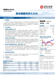 新战略瞄准四大方向