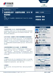 业绩预告点评：业绩符合预期，2018年更加精彩