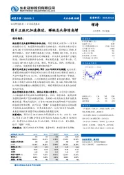 图片正版化加速推进，稀缺龙头持续高增