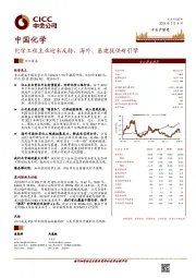 化学工程主业迎来反转，海外、基建提供新引擎