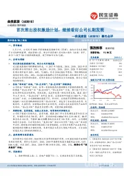 事件点评:首次推出股权激励计划,继续看好公司长期发展