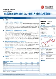 布局优质银锌锡矿山，量价齐升进入收获期