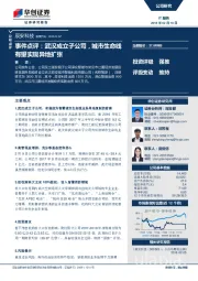 事件点评：武汉成立子公司，城市生命线有望实现异地扩张