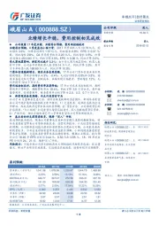 业绩增长平稳，费用控制初见成效