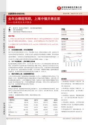 兆新股份点评报告：全年业绩超预期，上海中锂并表在即