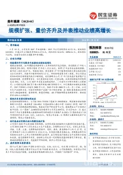 规模扩张、量价齐升及并表推动业绩高增长