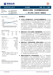 深度报告：智能表行业领袖，布局智慧能源成效初显