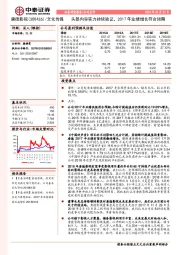 头部内容实力持续验证,2017年业绩增长符合预期