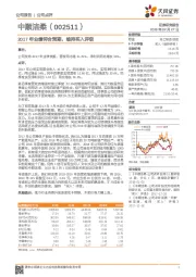 2017年业绩符合预期，维持买入评级