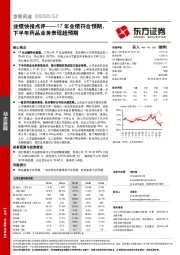 业绩快报点评：17年业绩符合预期，下半年药品业务表现超预期