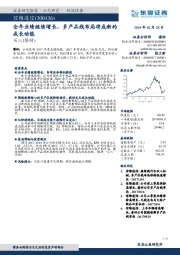 全年业绩继续增长，多产品线布局将成新的成长动能