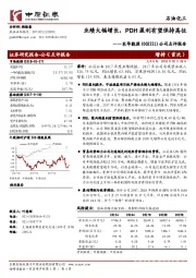 公司点评报告：业绩大幅增长，PDH盈利有望保持高位