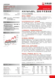 利润YoY+55%，2018年有望延续