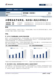 跟踪报告：业绩增速逐年创新高，低估值二线龙头持续发力