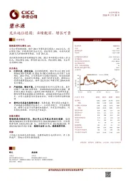 龙头地位稳固：业绩靓丽，增长可靠