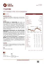 海外业务拖累4季报 国内业务稳健增长