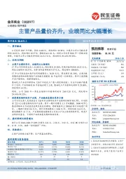 主营产品量价齐升，业绩同比大幅增长