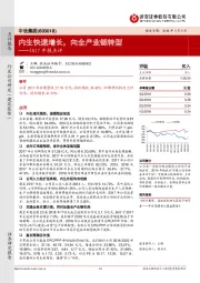 2017年报点评:内生快速增长,向全产业链转型