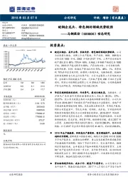 皖钢企龙头、特色钢材领域优势较强