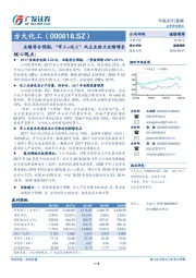 业绩符合预期，“军工+化工”双主业助力业绩增长