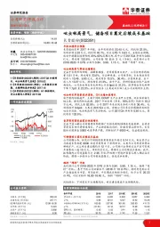 吡虫啉高景气，储备项目奠定后续成长基础