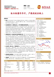 钛白粉量价齐升，产能投放在路上