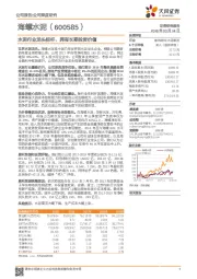 水泥行业龙头标杆，拥有长期投资价值