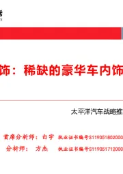 常熟汽饰：稀缺的豪华车内饰供应商