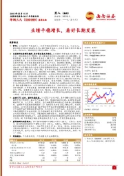 业绩平稳增长,看好长期发展
