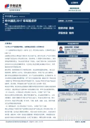 中兴通讯2017年年报点评