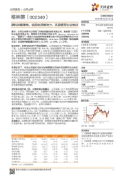 原料战略落地，钴回收持续发力，巩固领军企业地位