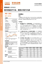 国内增速高于行业，美国公司扭亏为盈