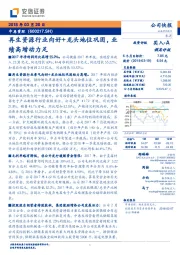 再生资源行业向好+龙头地位巩固，业绩高增动力足