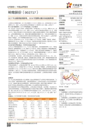 2017年业绩增速创新高，2018年预算业绩目标延续高增