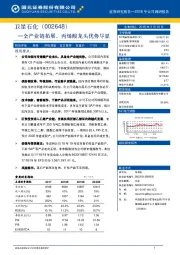 全产业链拓展，丙烯酸龙头优势尽显