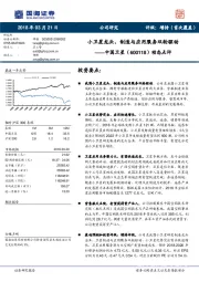 动态点评：小卫星龙头，制造与应用服务双轮驱动