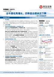 2017年年报点评：全年营收高增长，四季度业绩承压下降