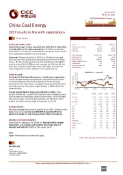 2017 results in line with expectations