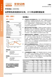业界领先的优质技术公司,2018年业绩有望反转