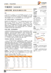 业绩符合预期，直升机龙头增长动力充足