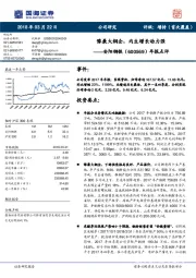 年报点评:豫最大钢企,内生增长动力强