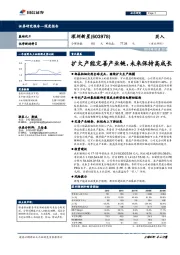 扩大产能完善产业链，未来保持高成长