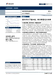 2017年年报点评：量价齐升产能加速，新品增量龙头恒强