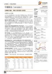 业绩稳步增长，整合升级有望大放异彩