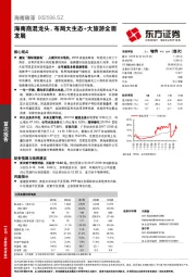 海南商混龙头，布局大生态+大旅游全面发展