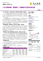 17Q4销售向好、增速回升，长期看好大众龙头优势凸显