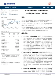 年报点评：水泥主业表现亮眼，拓展利润增长点