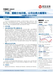 点评报告：甲醇、醋酸价格回暖，公司业绩大幅增长