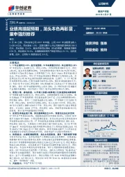 业绩高增超预期，龙头本色再彰显，重申强烈推荐